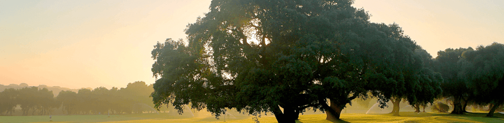 Montenmedio Golf & Country Club cover image